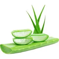 Les produits à l'Aloe vera