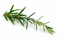 Cosmétiques à base de Romarin