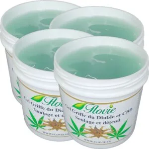 Lot de 4 Gels griffe du diable et CBD