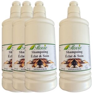 Lot de 4 Shampoings Éclat & Soin