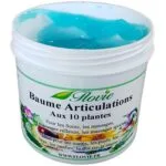 Baume Articulation aux 10 plantes