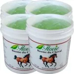 Lot de 4 pots de Baume du cheval – Baume chevalin